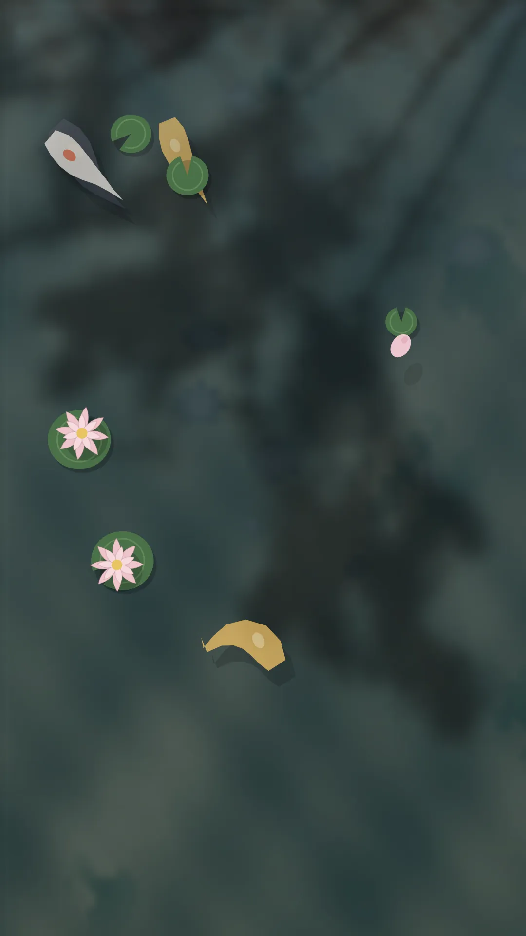 Pond