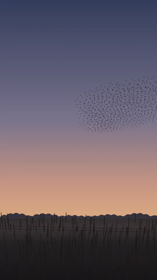 Watch Tussock: Starlings, a short on YouTube